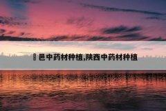 <b>������ҩ����ֲ,������ҩ����ֲ</b>