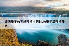 <b>����������������ֲ��ҩ��,�����Ӻ���ֲʲô</b>