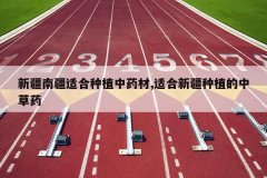 <b>�½��Ͻ��ʺ���ֲ��ҩ��,�ʺ��½���ֲ���в�ҩ</b>