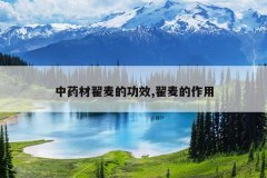 <b>��ҩ�ĵ���Ĺ�Ч,���������</b>