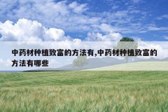 <b>��ҩ����ֲ�¸��ķ�����,��ҩ����ֲ�¸��ķ�������Щ</b>