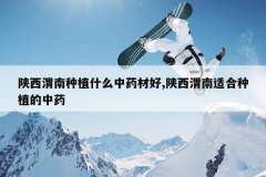 <b>����μ����ֲʲô��ҩ�ĺ�,����μ���ʺ���ֲ����ҩ</b>