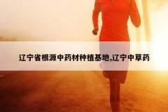 <b>����ʡ��Դ��ҩ����ֲ����,�����в�ҩ</b>