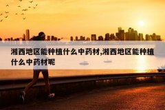 <b>������������ֲʲô��ҩ��,������������ֲʲô��ҩ����</b>