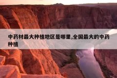 <b>��ҩ�������ֲ����������,ȫ��������ҩ��ֲ</b>