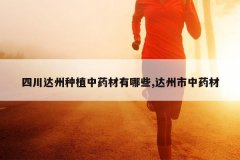 <b>�Ĵ�������ֲ��ҩ������Щ,��������ҩ��</b>