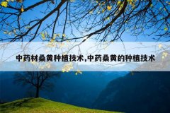 <b>��ҩ��ɣ����ֲ����,��ҩɣ�Ƶ���ֲ����</b>