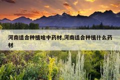 <b>�����ʺ���ֲɶ��ҩ��,�����ʺ���ֲʲôҩ��</b>