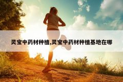 <b>鱦ҩֲ,鱦ҩֲ</b>