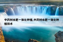 <b>��ҩ��ˮ��һ�廯��ֲ,��ҩ��ˮ��һ�廯��ֲ����</b>