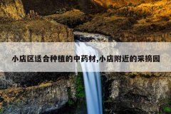 <b>С�����ʺ���ֲ����ҩ��,С�긽���Ĳ�ժ԰</b>