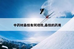 <b>��ҩ��ɣ֦�кι�Ч,ɣ֦��ҩ��</b>