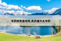 <b>��ҩ��������Ч,��ҩ��ʲô��ҩ</b>