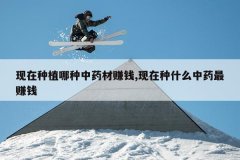 <b>������ֲ������ҩ��׬Ǯ,������ʲô��ҩ��׬Ǯ</b>