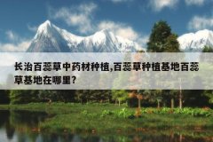 <b>���ΰ������ҩ����ֲ,�������ֲ���ذ���ݻ���������?</b>