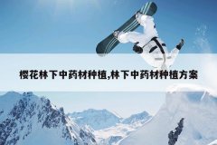 <b>ӣ��������ҩ����ֲ,������ҩ����ֲ����</b>