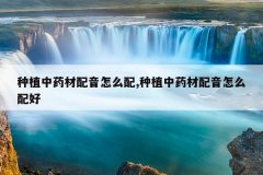 <b>��ֲ��ҩ��������ô��,��ֲ��ҩ��������ô���</b>