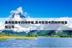 <b>�����ŵ���ҩ����ֲ,�����ŵ���ҩ����ֲ���޹�˾</b>