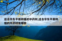 <b>�ʺϻ���ƽԭ��ֲ����ҩ��,�ʺϻ���ƽԭ��ֲ����ҩ������Щ</b>