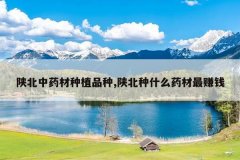 <b>�±���ҩ����ֲƷ��,�±���ʲôҩ����׬Ǯ</b>