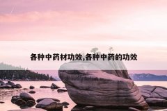 <b>������ҩ�Ĺ�Ч,������ҩ�Ĺ�Ч</b>