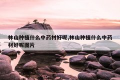 <b>��ɽ��ֲʲô��ҩ�ĺ���,��ɽ��ֲʲô��ҩ�ĺ���ͼƬ</b>