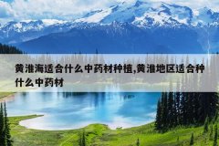 <b>�ƻ����ʺ�ʲô��ҩ����ֲ,�ƻ������ʺ���ʲô��ҩ��</b>