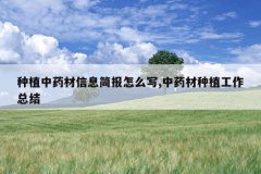 <b>��ֲ��ҩ����Ϣ����ôд,��ҩ����ֲ�����ܽ�</b>