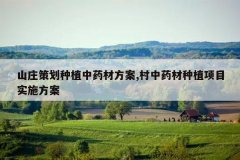 <b>ɽׯ�߻���ֲ��ҩ�ķ���,����ҩ����ֲ��Ŀʵʩ����</b>