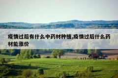 <b>���������ʲô��ҩ����ֲ,�������ʲôҩ�����Ǽ�</b>