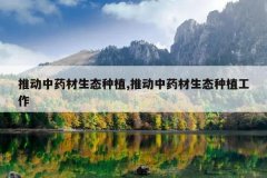 <b>�ƶ���ҩ����̬��ֲ,�ƶ���ҩ����̬��ֲ����</b>