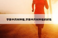 <b>ѧ����ҩ����ֲ,ѧ����ҩ����ֲ�ĺô�</b>