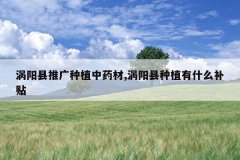 <b>�������ƹ���ֲ��ҩ��,��������ֲ��ʲô����</b>