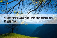 <b>��ҩ�ĵ��εĹ�Ч����,��ҩ�ĵ��ε���������;��ʲô</b>