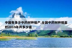 <b>�й��ж�����ҩ����ֲ��,ȫ����ҩ����ֲ���2019�깲����Ķ</b>