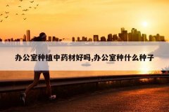 <b>�칫����ֲ��ҩ�ĺ���,�칫����ʲô����</b>