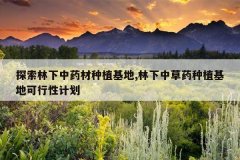 <b>̽��������ҩ����ֲ����,�����в�ҩ��ֲ���ؿ����Լƻ�</b>