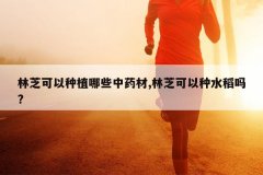 <b>��֥������ֲ��Щ��ҩ��,��֥������ˮ����?</b>