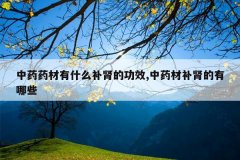 <b>��ҩҩ����ʲô�����Ĺ�Ч,��ҩ�Ĳ���������Щ</b>