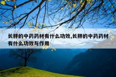 <b>���ֵ���ҩҩ����ʲô��Ч,���ֵ���ҩҩ����ʲô��Ч������</b>