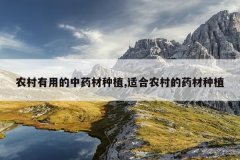 <b>ũ�����õ���ҩ����ֲ,�ʺ�ũ���ҩ����ֲ</b>