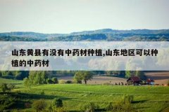 <b>ɽ��������û����ҩ����ֲ,ɽ������������ֲ����ҩ��</b>