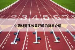 <b>��ҩ��Ұ��Ч������ļ򵥽���</b>