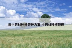 <b>����ҩ����ֲ�ܻ�����,��ҩ����ֲ����</b>