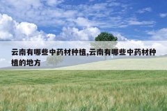 <b>��������Щ��ҩ����ֲ,��������Щ��ҩ����ֲ�ĵط�</b>