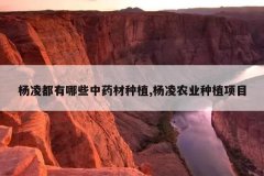 <b>���趼����Щ��ҩ����ֲ,����ũҵ��ֲ��Ŀ</b>