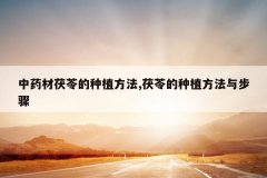 <b>��ҩ�����ߵ���ֲ����,���ߵ���ֲ�����벽��</b>