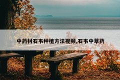 <b>��ҩ��ʯΤ��ֲ������Ƶ,ʯΤ�в�ҩ</b>