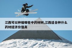 <b>����������ֲ��Щ��ҩ����,�����ʺ���ʲôҩ�ľ��ü�ֵ��</b>