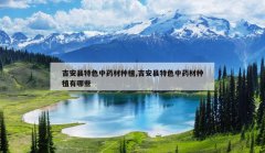 <b>��������ɫ��ҩ����ֲ,��������ɫ��ҩ����ֲ����Щ</b>